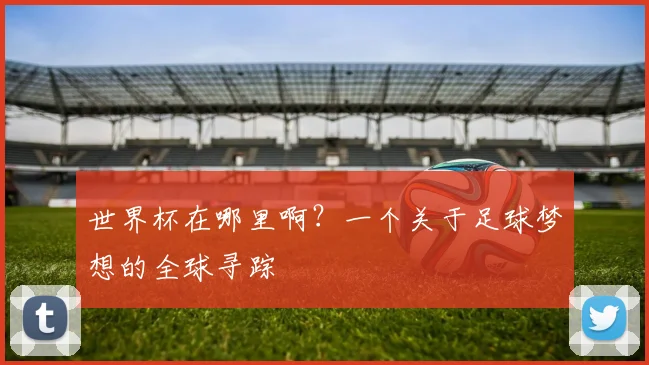 世界杯在哪里啊？一个关于足球梦想的全球寻踪