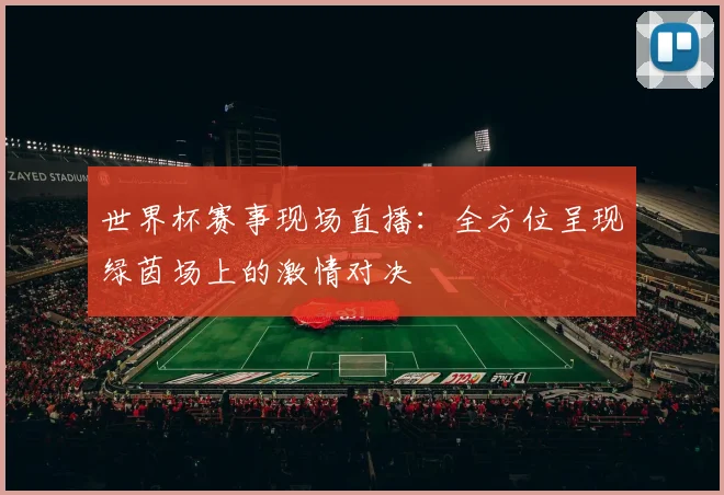 世界杯赛事现场直播：全方位呈现绿茵场上的激情对决