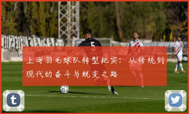 上海羽毛球队转型纪实：从传统到现代的奋斗与蜕变之路