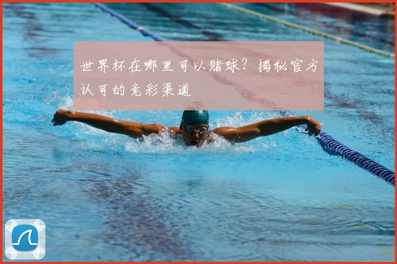 世界杯在哪里可以赌球？揭秘官方认可的竞彩渠道