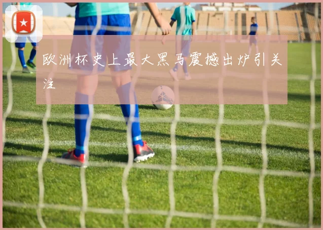 欧洲杯史上最大黑马震撼出炉引关注