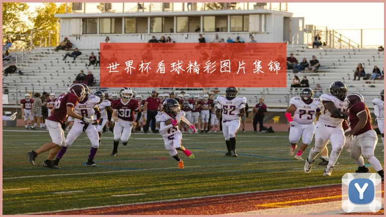 世界杯看球精彩图片集锦