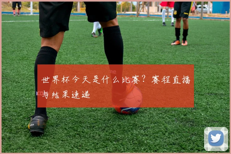 世界杯今天是什么比赛？赛程直播与结果速递
