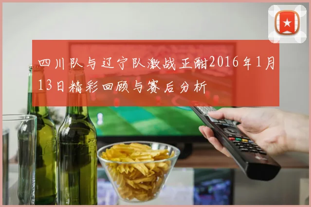 四川队与辽宁队激战正酣2016年1月13日精彩回顾与赛后分析