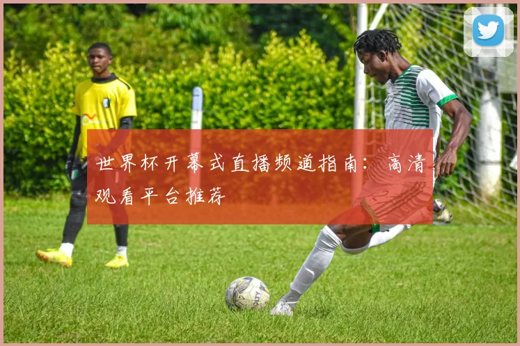 世界杯开幕式直播频道指南：高清观看平台推荐