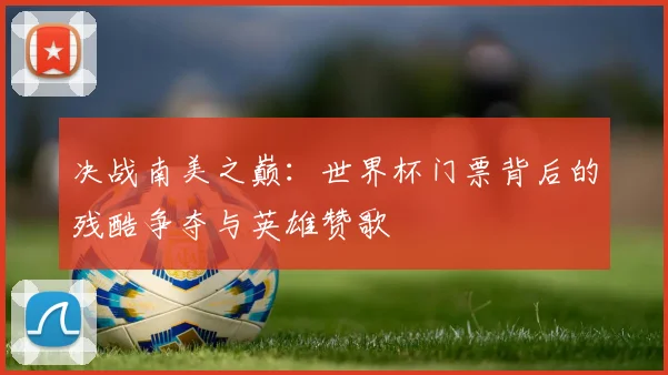 决战南美之巅：世界杯门票背后的残酷争夺与英雄赞歌