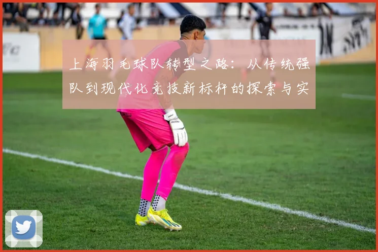 上海羽毛球队转型之路：从传统强队到现代化竞技新标杆的探索与实践