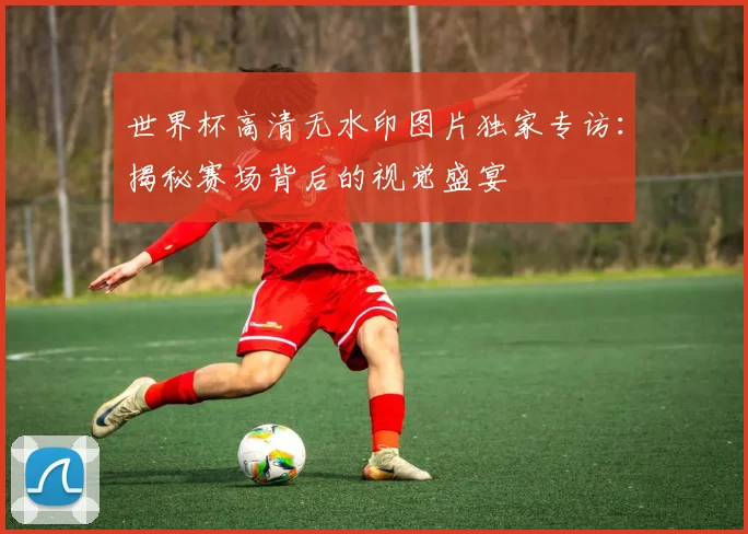 世界杯高清无水印图片独家专访：揭秘赛场背后的视觉盛宴