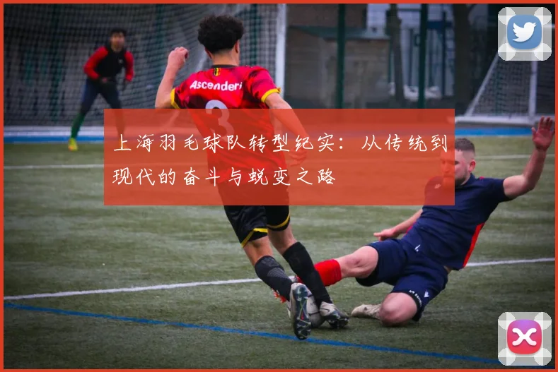上海羽毛球队转型纪实：从传统到现代的奋斗与蜕变之路