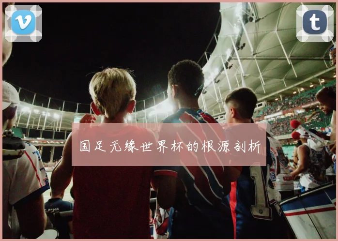 国足无缘世界杯的根源剖析