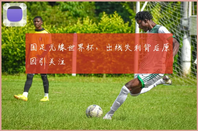 国足无缘世界杯，出线失利背后原因引关注